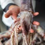 3a06a8c8c5a8275084bc797e586a7324