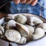 59905bc5c1999ee9f65c4f539a142f11