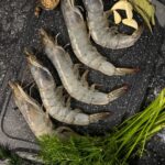 d0e1a08acfeab0191fe9845eca0720fc