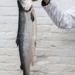 f93cc63eb7e39978e2232a9c32e9ef5f